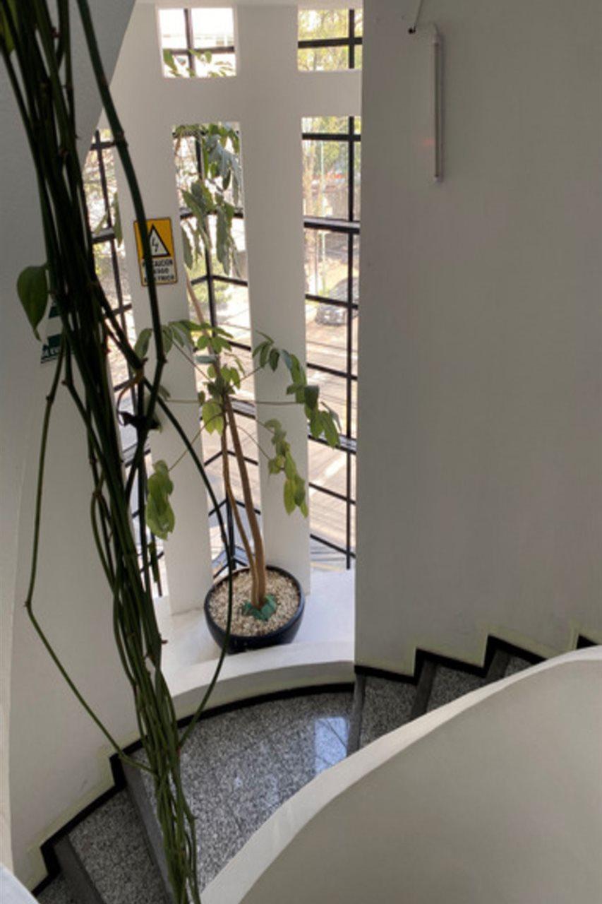 Flowsuites Polanco Мексико Сити Екстериор снимка